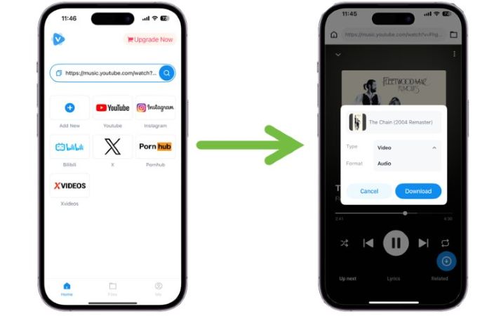 Paste Youtube music link into the Downloader
