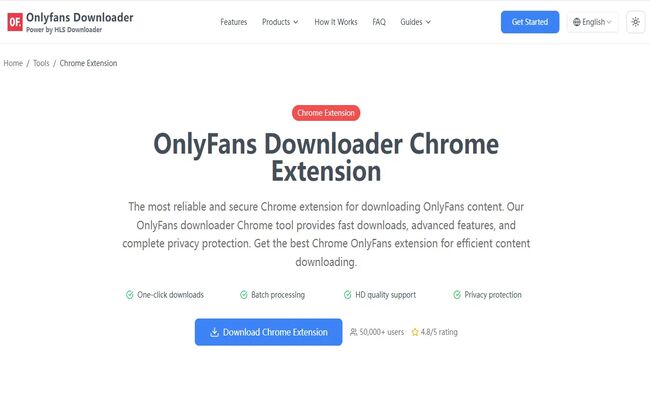 OnlyFans Downloader extension