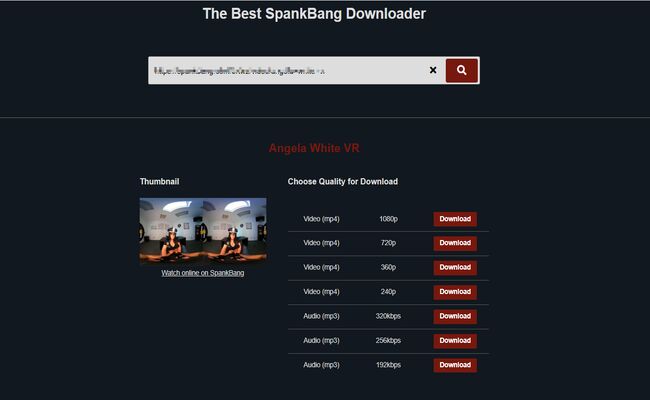SavePorn.net-Online SpankBang downloader