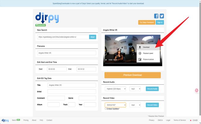 Use online SpankBang downloader