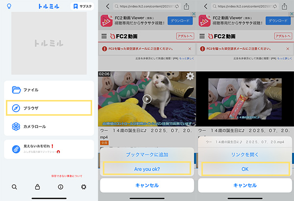 トルミル　FC2動画をダウンロード