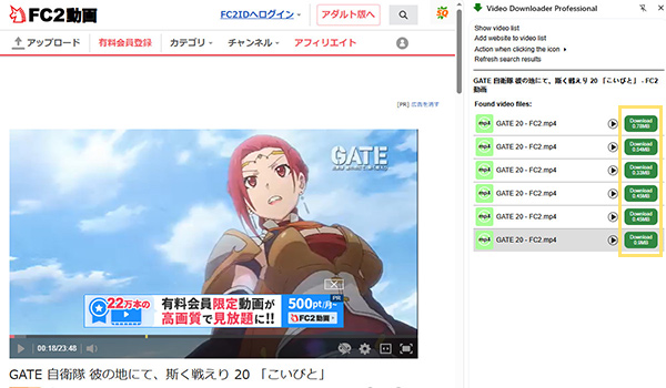 Video Downloader professional　FC2動画を保存