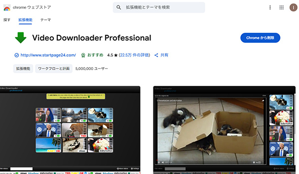 Video Downloader professional　Chrome拡張機能